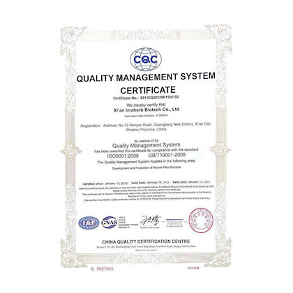 Certificate Preview